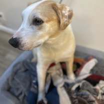 Thumbnail photo of Ronan #2