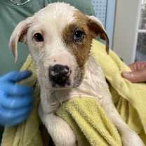 Thumbnail photo of 032404 - Cuddles #1