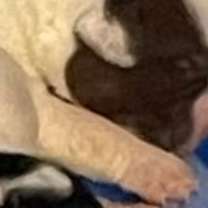 Thumbnail photo of 032404 - Cuddles #3