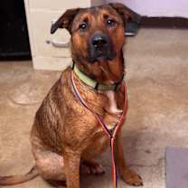 Thumbnail photo of Bubba #1