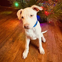 Thumbnail photo of Hudson #2