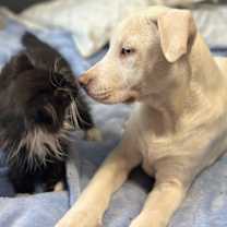 Thumbnail photo of Hudson #3