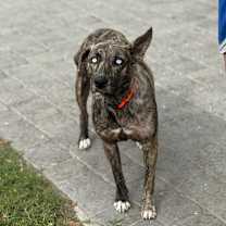 Thumbnail photo of RIVER #1