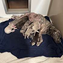 Thumbnail photo of RIVER #2