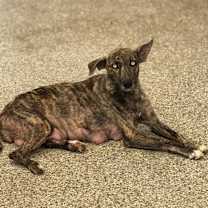 Thumbnail photo of RIVER #3