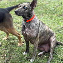 Thumbnail photo of RIVER #4