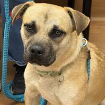 Thumbnail photo of George Lonestar #3