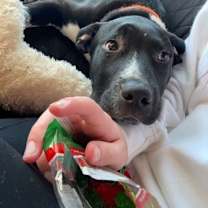 Thumbnail photo of Cash #1