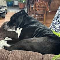 Thumbnail photo of Cash #2