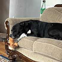 Thumbnail photo of Cash #4