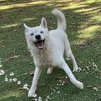 Thumbnail photo of Monday #1