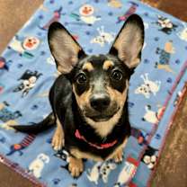 Thumbnail photo of Ella #1