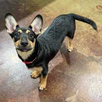 Thumbnail photo of Ella #2