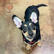 Thumbnail photo of Ella #3