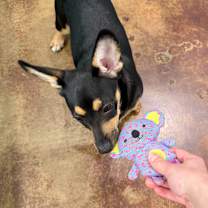 Thumbnail photo of Ella #4