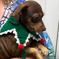 Thumbnail photo of Mama Perdita #2