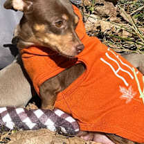 Thumbnail photo of Mama Perdita #3