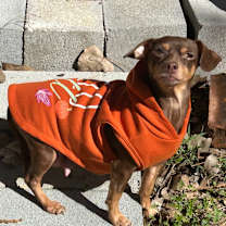 Thumbnail photo of Mama Perdita #4