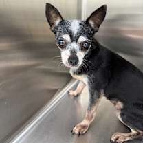 Thumbnail photo of Nora Griswold #1