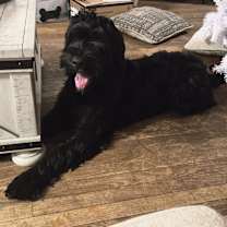 Thumbnail photo of Mila #1