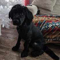 Thumbnail photo of Mila #3