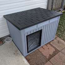 Thumbnail photo of Spiddy #4