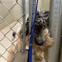 Thumbnail photo of 23010- Taylor #2