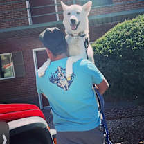 Thumbnail photo of Bruno #2