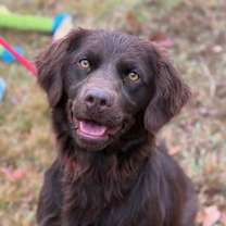 Thumbnail photo of Lilith #1