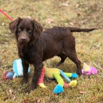 Thumbnail photo of Lilith #2