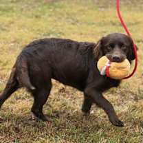 Thumbnail photo of Lilith #3