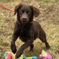 Thumbnail photo of Lilith #4