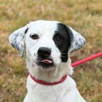 Thumbnail photo of Rainbow #1