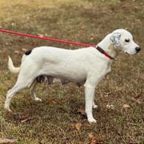 Thumbnail photo of Rainbow #4