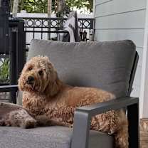 Thumbnail photo of Bula #2