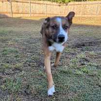 Thumbnail photo of Richard #1