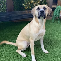 Thumbnail photo of Caley 6780 #1