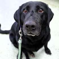 Thumbnail photo of Fiona #1