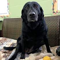 Thumbnail photo of Fiona #2