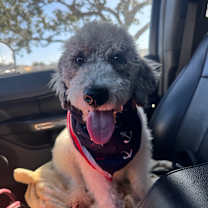 Thumbnail photo of Jolly #2