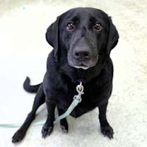 Thumbnail photo of Fiona #3