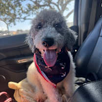 Thumbnail photo of Jolly #3