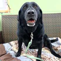 Thumbnail photo of Fiona #4