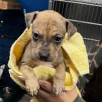 Thumbnail photo of CT Calamity avail Dec 27 #2