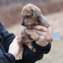 Thumbnail photo of CT Calamity avail Dec 27 #3