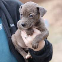 Thumbnail photo of CT Dewhurst avail Dec 27 #3