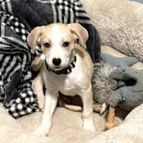 Thumbnail photo of Max #3