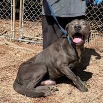 Thumbnail photo of Zeus #4