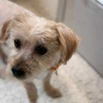 Thumbnail photo of Rudy #4