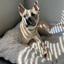 Thumbnail photo of Arlo #3